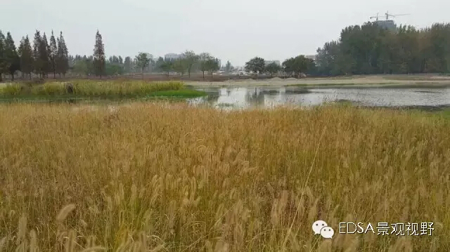 關(guān)于舉辦濕地公園案例項(xiàng)目考察的邀請(qǐng)函