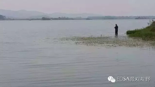 關(guān)于舉辦濕地公園案例項(xiàng)目考察的邀請(qǐng)函