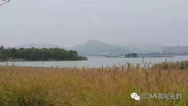 關于舉辦濕地公園案例項目考察的邀請函