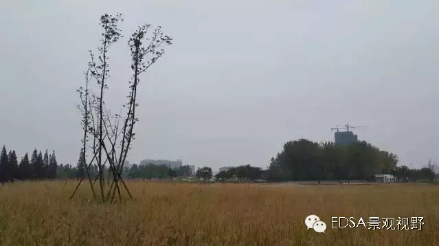 關于舉辦濕地公園案例項目考察的邀請函