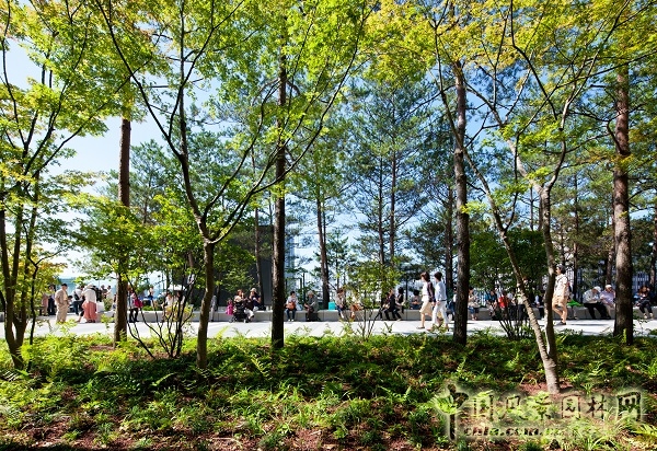 案例賞析:東京晴空塔小鎮