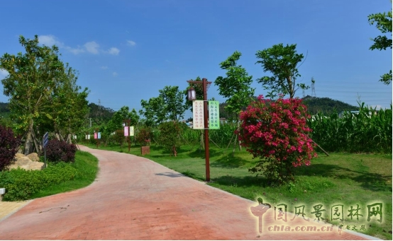 福建大農項目展示：閩南文化生態走廊