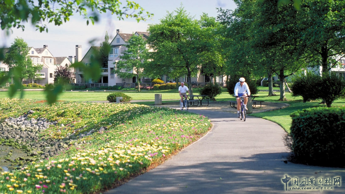 SWA：美國加利福尼亞阿拉米達碼頭村