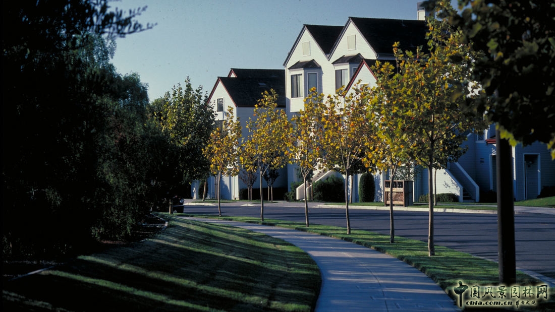 SWA：美國加利福尼亞阿拉米達碼頭村