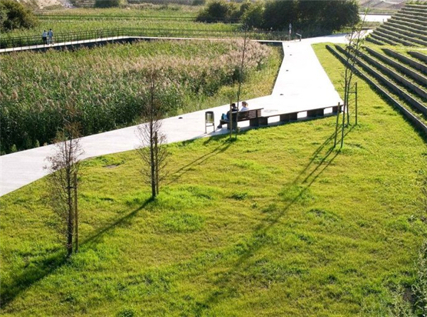 西班牙坎塔布裏亞桑坦德濕地公園