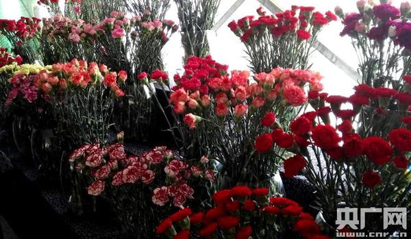 銀川市打造西北最大花卉生產基地和交易中心