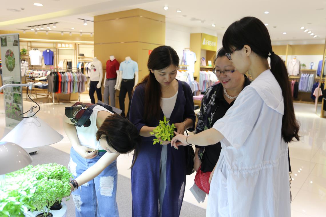 園藝界新晉網(wǎng)紅——家居無土彩葉小盆栽 華麗亮相銀泰商城
