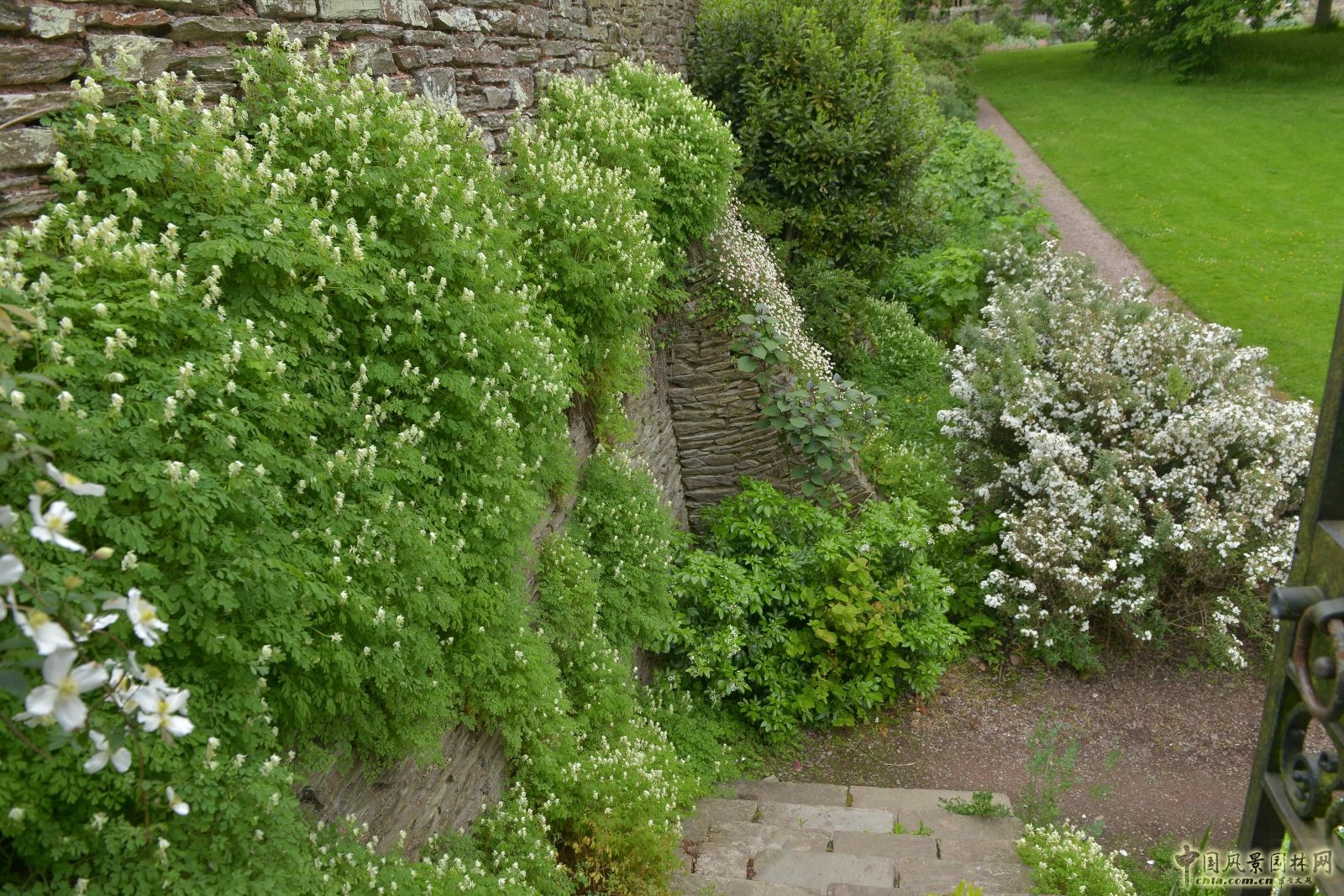 俯拾皆是“杰基爾Style”——英國赫斯特庫姆花園
