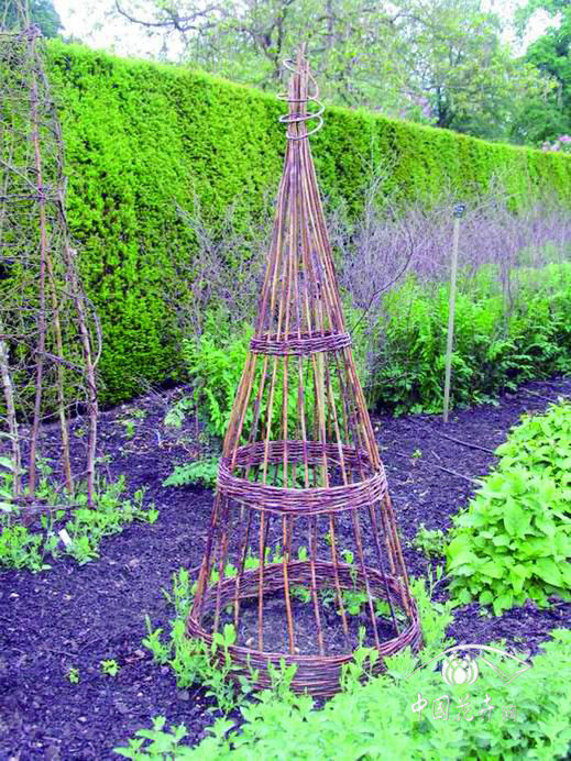 巧用綠化廢棄物變豐富景觀