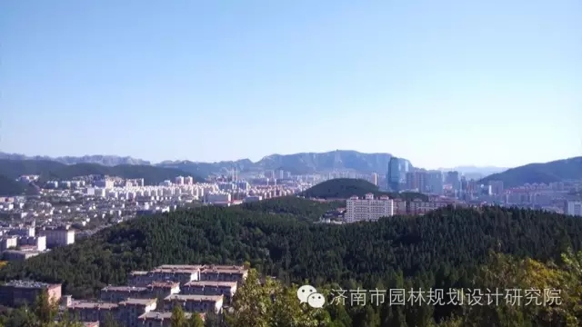 濟(jì)南市園林規(guī)劃設(shè)計(jì)研究院獲獎(jiǎng)作品賞析