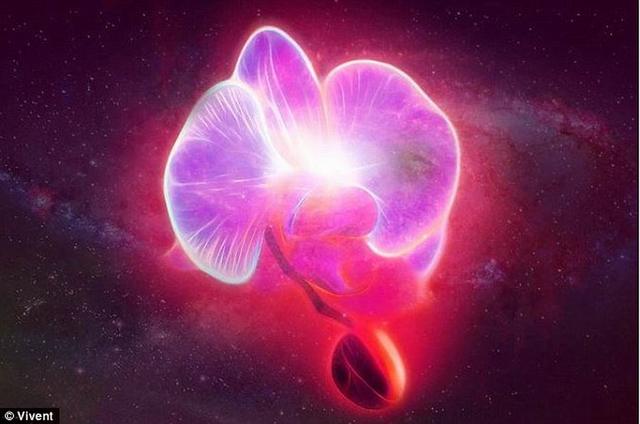 瑞士最新裝置可以傾聽植物的“竊竊私語”