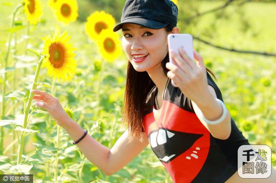 北京奧森公園百畝葵花綻放游客徜徉花海