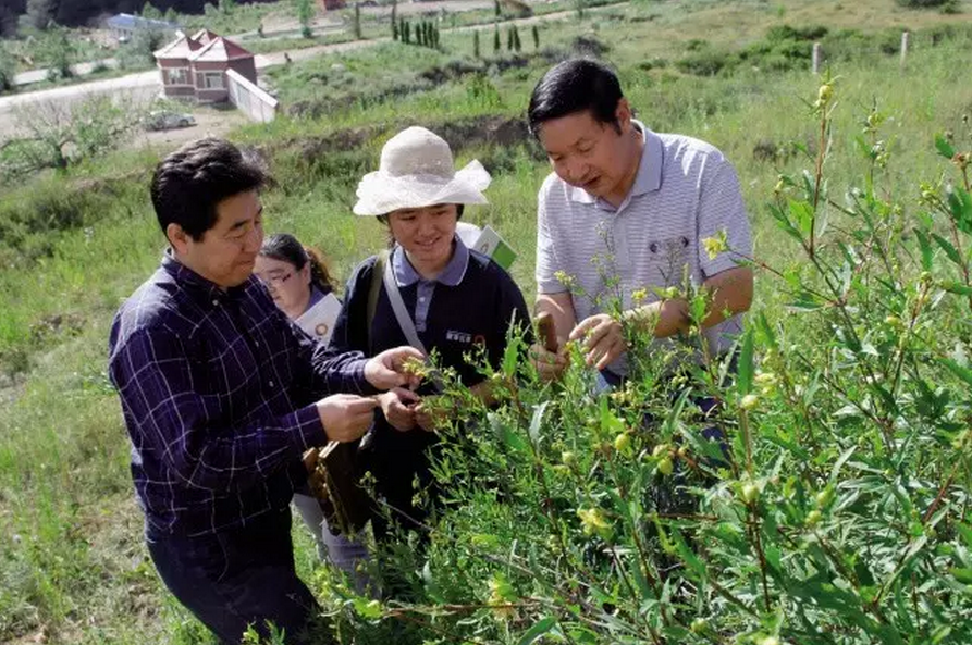 種子的力量即蒙草好種源