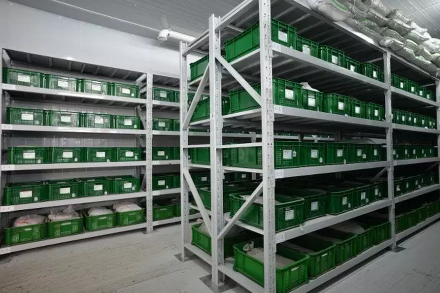 種子的力量即蒙草好種源