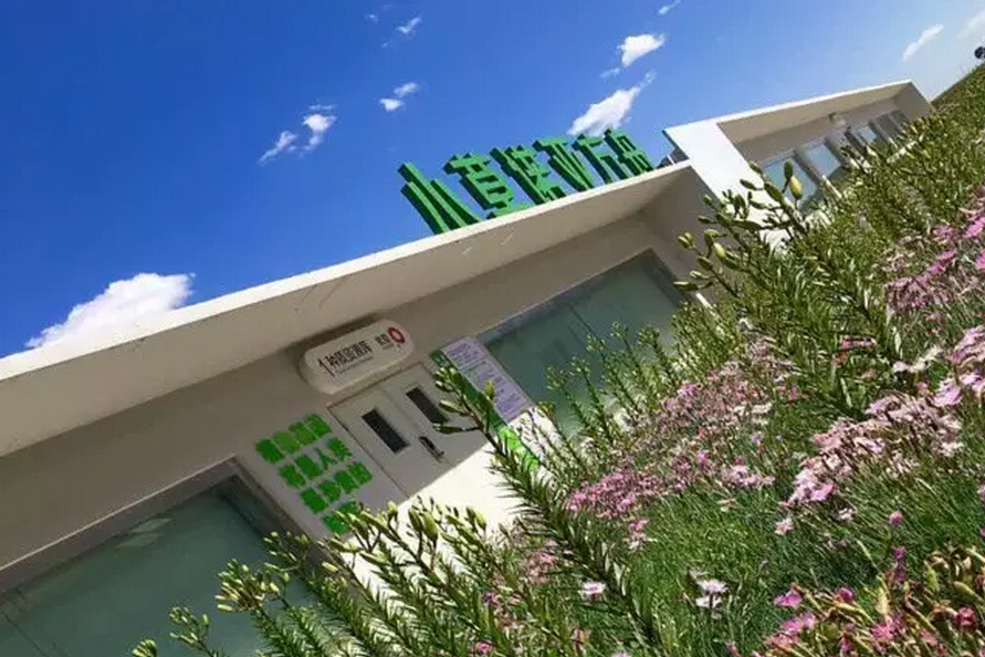 種子的力量即蒙草好種源