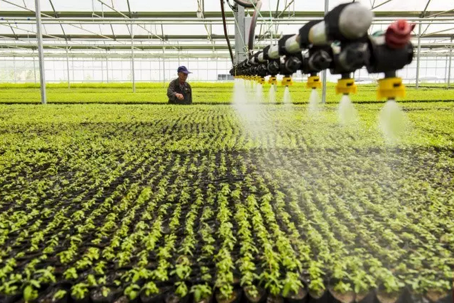 種子的力量即蒙草好種源