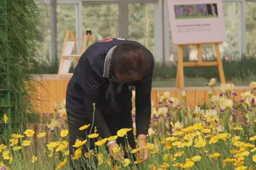 種子的力量即蒙草好種源