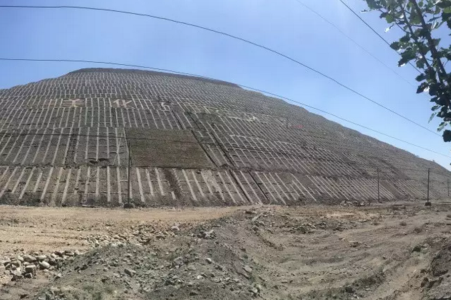 種子的力量即蒙草好種源