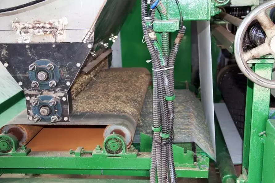 種子的力量即蒙草好種源