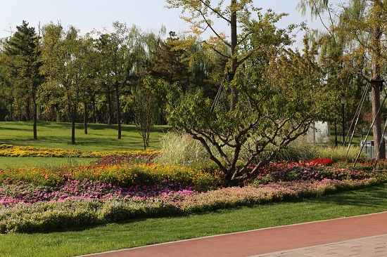 北京望和公園規(guī)劃設(shè)計(jì)分析