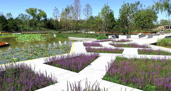 北京望和公園規(guī)劃設(shè)計分析