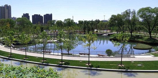 北京望和公園規(guī)劃設(shè)計分析