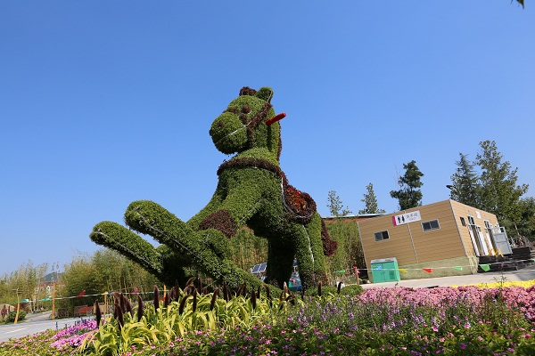 2014青島世園會立體花壇圖片賞析