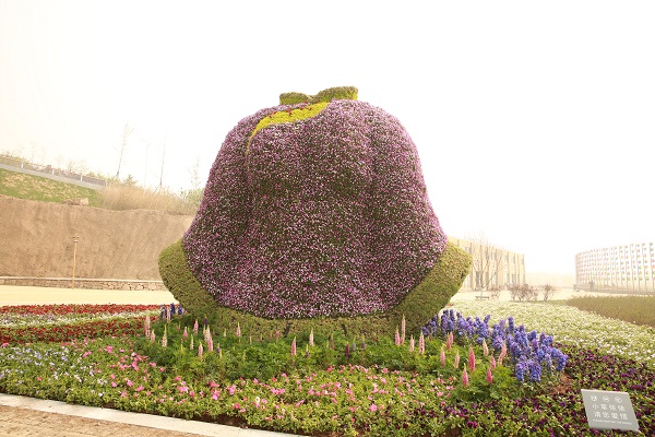 2014青島世園會立體花壇圖片賞析