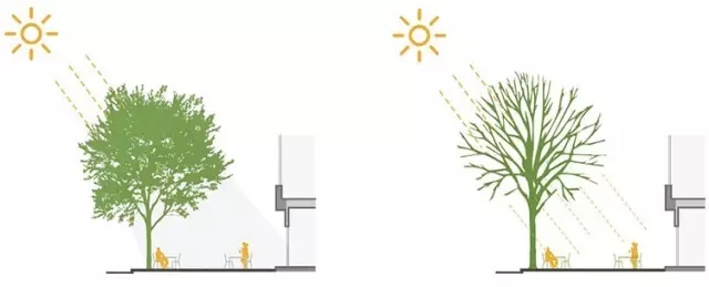 搶先看:《上海市街道設計導則》公示