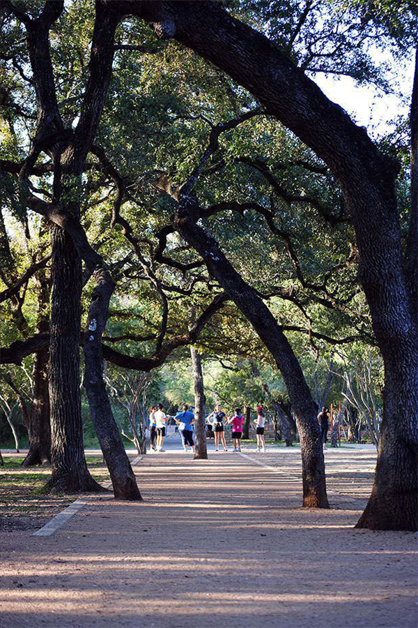 圣安東尼奧菲爾·哈德伯格公園