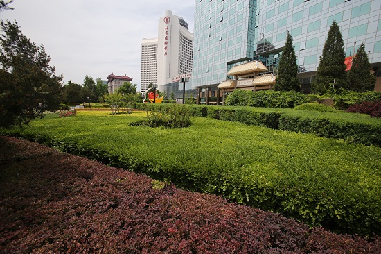 天安門廣場及長安街及其延長線綠化欣賞