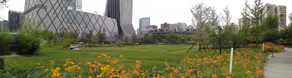 中央電視臺新臺址建設(shè)工程媒體公園設(shè)計（C標(biāo)段）