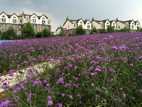 北京·懷柔燕城小鎮(zhèn)規(guī)劃項目賞析