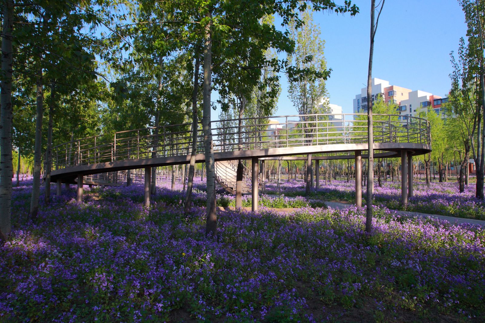 萬科青青林趣園規劃設計賞析