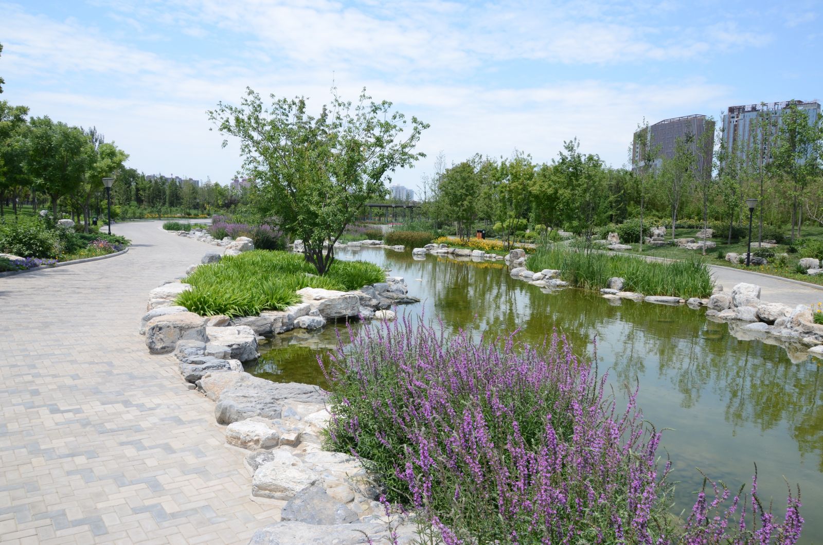 北京大望京公園規(guī)劃設計賞析