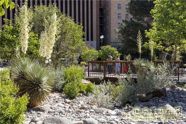 【7月12日頭條】埃爾帕索百年歷史公園