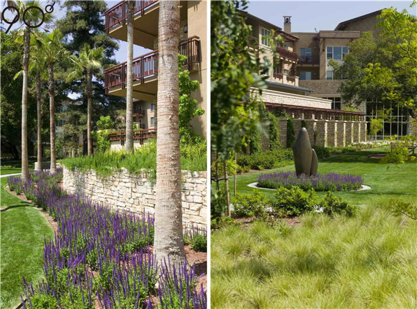 加州帕洛阿爾托“Vi生活”養(yǎng)老社區(qū)