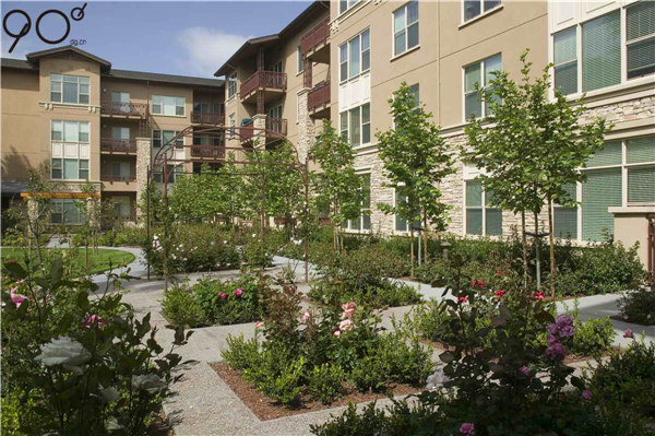 加州帕洛阿爾托“Vi生活”養老社區