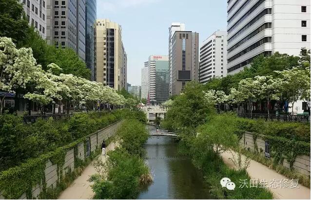 韓國兩個河流生態恢復案例