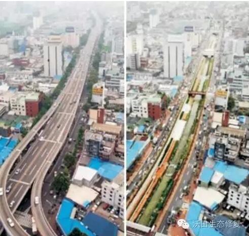 韓國兩個河流生態恢復案例