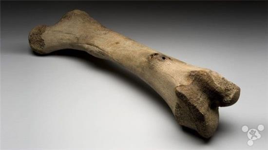 超硬“人造骨”可作建筑材料：可替代鋼筋水泥減少碳排放