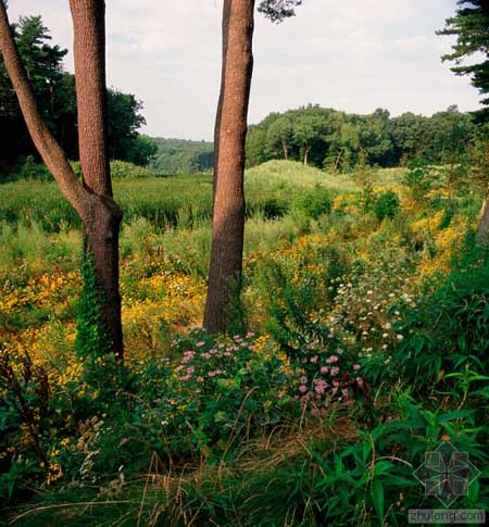 美國Alumnae山谷改造