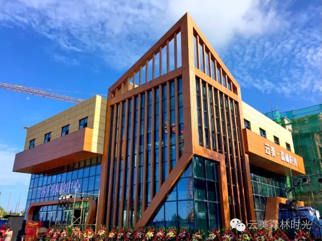 云投生態(tài)投資建設(shè)的重慶"云美?森林時(shí)光"旅游地產(chǎn)項(xiàng)目啟動(dòng)預(yù)售