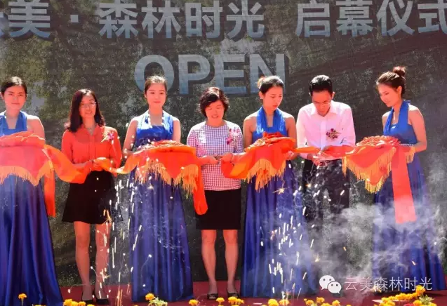 云投生態(tài)投資建設(shè)的重慶"云美?森林時(shí)光"旅游地產(chǎn)項(xiàng)目啟動(dòng)預(yù)售