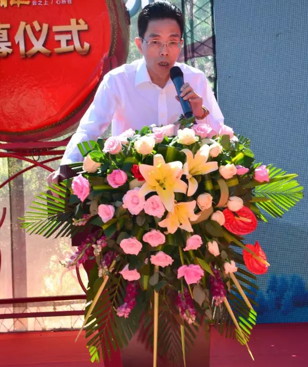 云投生態投資建設的重慶"云美?森林時光"旅游地產項目啟動預售