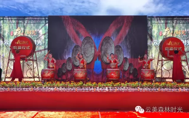 云投生態投資建設的重慶"云美?森林時光"旅游地產項目啟動預售