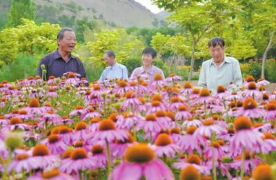 新疆雅山花卉基地正式對外開放