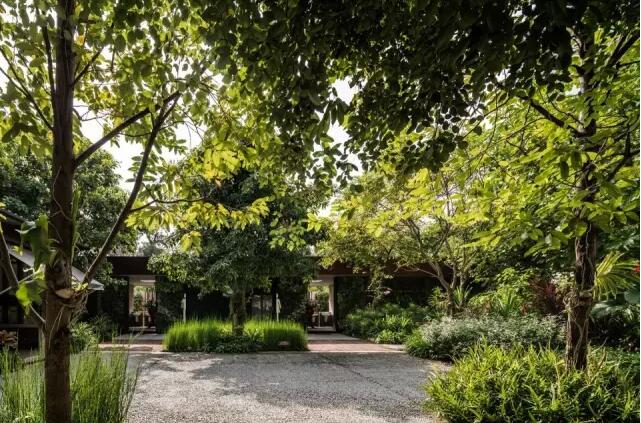 泰國公園：場地修復+產業整合的綠色夢想