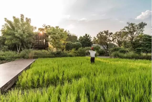 泰國公園：場地修復+產業整合的綠色夢想