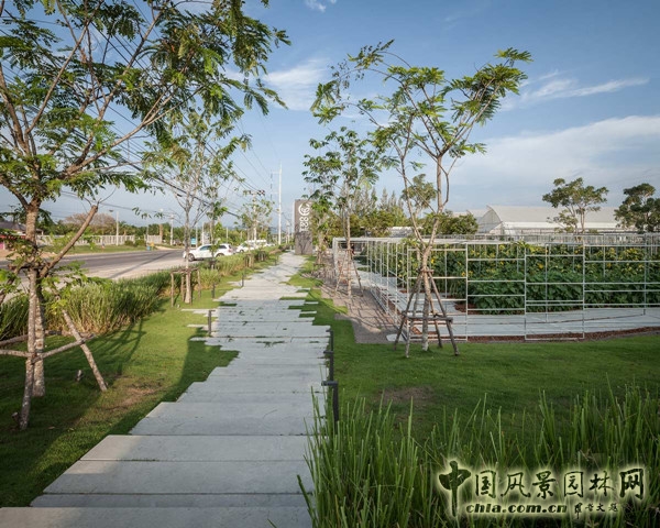 泰國Coro項目一期工程賞析